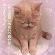 ヒメ日記 2026/04/01 10:14 投稿 美子（みこ） マダムロゼ