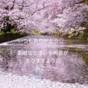 ヒメ日記 2026/04/04 09:36 投稿 美子（みこ） マダムロゼ