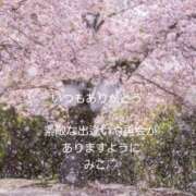 ヒメ日記 2026/04/11 14:08 投稿 美子（みこ） マダムロゼ