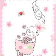 ヒメ日記 2026/04/11 21:14 投稿 美子（みこ） マダムロゼ