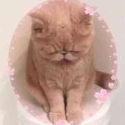 ヒメ日記 2026/04/30 23:08 投稿 美子（みこ） マダムロゼ