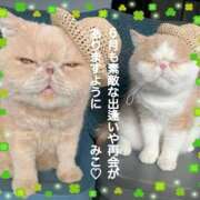 ヒメ日記 2026/06/01 10:24 投稿 美子（みこ） マダムロゼ