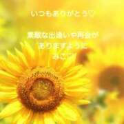 ヒメ日記 2026/08/14 14:38 投稿 美子（みこ） マダムロゼ