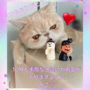 ヒメ日記 2026/10/01 09:48 投稿 美子（みこ） マダムロゼ