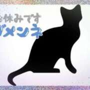 ヒメ日記 2024/04/08 09:45 投稿 なお 宮崎ちゃんこ都城店