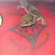 ヒメ日記 2025/02/27 22:02 投稿 新人紫乃(しの)体験 T マダムロゼ