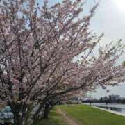 ヒメ日記 2025/04/08 09:22 投稿 新人紫乃(しの)体験 T マダムロゼ