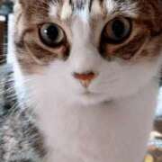 ヒメ日記 2025/12/07 20:44 投稿 新人紫乃(しの)体験 T マダムロゼ