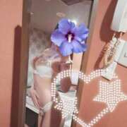 ヒメ日記 2025/04/28 12:49 投稿 日高　佳乃 プルプル倶楽部 札幌すすきの店