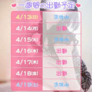 ヒメ日記 2025/04/13 21:51 投稿 かぐや バイオレンス