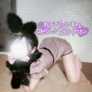 ヒメ日記 2025/04/16 06:45 投稿 かぐや バイオレンス