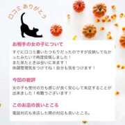 ヒメ日記 2025/05/02 15:26 投稿 かぐや バイオレンス