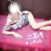 ヒメ日記 2025/05/03 06:55 投稿 かぐや バイオレンス