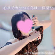 かぐや かぐやセラミド バイオレンス