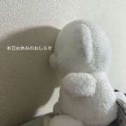 ヒメ日記 2026/02/16 12:27 投稿 かぐや バイオレンス