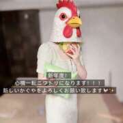 ヒメ日記 2026/04/01 09:05 投稿 かぐや バイオレンス