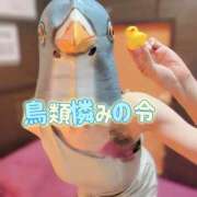 ヒメ日記 2026/06/20 14:35 投稿 かぐや バイオレンス