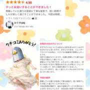 ヒメ日記 2026/07/29 21:55 投稿 かぐや バイオレンス