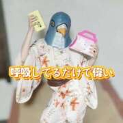 ヒメ日記 2026/08/02 16:25 投稿 かぐや バイオレンス