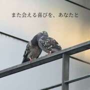 ヒメ日記 2026/08/22 06:05 投稿 かぐや バイオレンス