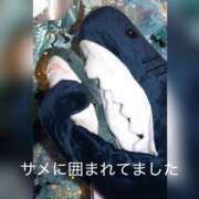 ヒメ日記 2026/09/22 15:05 投稿 かぐや バイオレンス