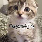 ヒメ日記 2025/01/26 17:08 投稿 酒田莉帆 五十路マダム愛されたい熟女たち 倉敷店（カサブランカグループ）