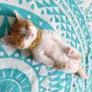 ヒメ日記 2025/10/26 13:06 投稿 酒田莉帆 五十路マダム愛されたい熟女たち 倉敷店（カサブランカグループ）