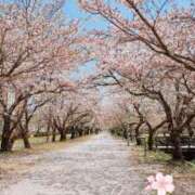 ヒメ日記 2025/04/10 11:52 投稿 新人 郁瑠(いくる)体験E マダムロゼ