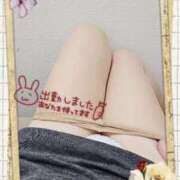 ヒメ日記 2025/04/12 16:46 投稿 新人 郁瑠(いくる)体験E マダムロゼ