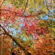 ヒメ日記 2025/10/27 13:26 投稿 新人 郁瑠(いくる)体験E マダムロゼ