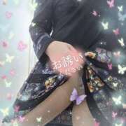 ヒメ日記 2026/03/19 17:40 投稿 新人 郁瑠(いくる)体験E マダムロゼ