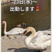 ヒメ日記 2025/04/18 20:56 投稿 ふみ乃(ふみの)体験 F マダムロゼ