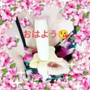 ヒメ日記 2025/04/24 06:56 投稿 ふみ乃(ふみの)体験 F マダムロゼ