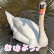 ヒメ日記 2025/05/13 07:30 投稿 ふみ乃(ふみの)体験 F マダムロゼ