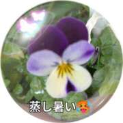 ヒメ日記 2025/05/17 17:28 投稿 ふみ乃(ふみの)体験 F マダムロゼ