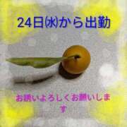 ヒメ日記 2025/12/22 14:04 投稿 ふみ乃(ふみの)体験 F マダムロゼ
