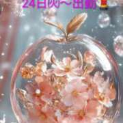 ヒメ日記 2026/02/23 00:14 投稿 ふみ乃(ふみの)体験 F マダムロゼ