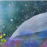 ヒメ日記 2026/02/25 06:54 投稿 ふみ乃(ふみの)体験 F マダムロゼ