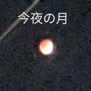 ヒメ日記 2026/03/03 21:50 投稿 ふみ乃(ふみの)体験 F マダムロゼ