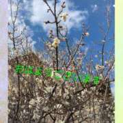 ヒメ日記 2026/03/08 07:16 投稿 ふみ乃(ふみの)体験 F マダムロゼ