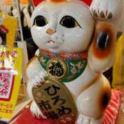 ヒメ日記 2025/01/20 14:48 投稿 耀(ひかり)体験 D マダムロゼ