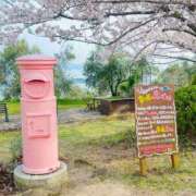 ヒメ日記 2026/03/30 13:42 投稿 耀(ひかり)体験 D マダムロゼ