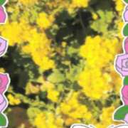 ヒメ日記 2025/02/28 08:50 投稿 さえこ(昭和38年生まれ) 熟年カップル名古屋～生電話からの営み～