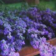 ヒメ日記 2025/09/18 06:52 投稿 さえこ(昭和38年生まれ) 熟年カップル名古屋～生電話からの営み～