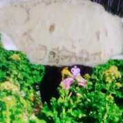 ヒメ日記 2026/03/17 13:00 投稿 さえこ(昭和38年生まれ) 熟年カップル名古屋～生電話からの営み～