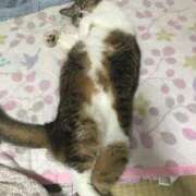 ヒメ日記 2025/08/14 17:50 投稿 なな ぽちゃ妻DX