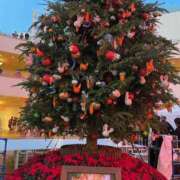 ヒメ日記 2025/12/01 15:45 投稿 みさこ ぽちゃ妻DX