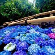 ヒメ日記 2025/07/06 22:41 投稿 えみな 即アポ奥さん〜名古屋店〜