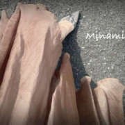 ヒメ日記 2026/03/19 23:06 投稿 みなみ モアグループ熊谷人妻花壇