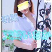 ヒメ日記 2024/12/24 03:51 投稿 天崎　いちか NADIA東京新橋店